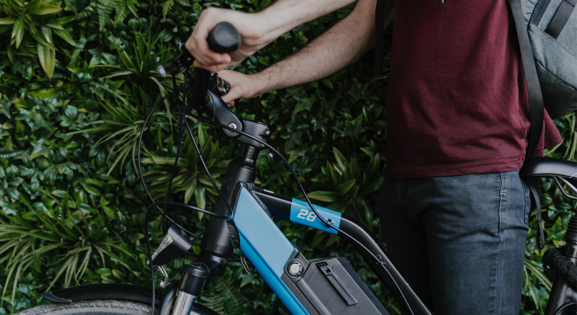 modro kolo, elektirčna kolesa, wiz blog