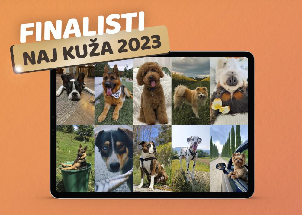 FINALISTI NAJ KUŽA 2023 WIZ