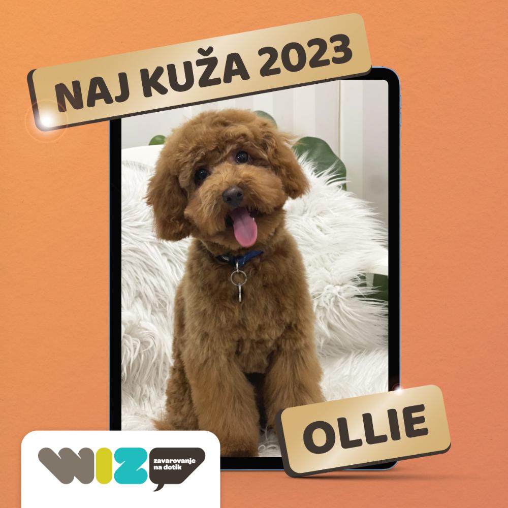 WIZ Naj Kuža 2023 je OLLIE